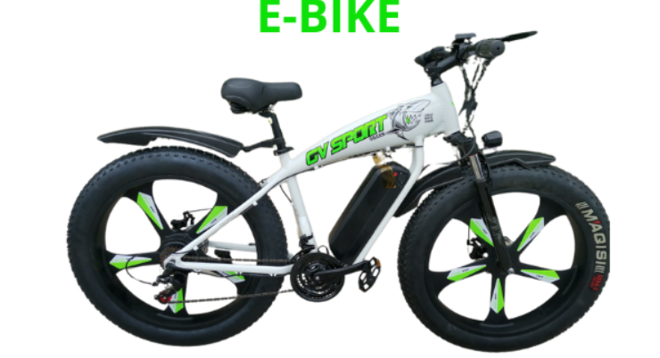 Smart Electric Power Bike